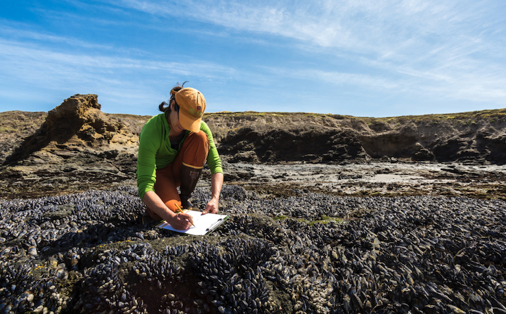 Young professional doing research near the ocean